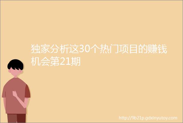 独家分析这30个热门项目的赚钱机会第21期